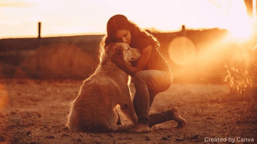 Nevada Laws on Emotional Support Animals & Housing Rights