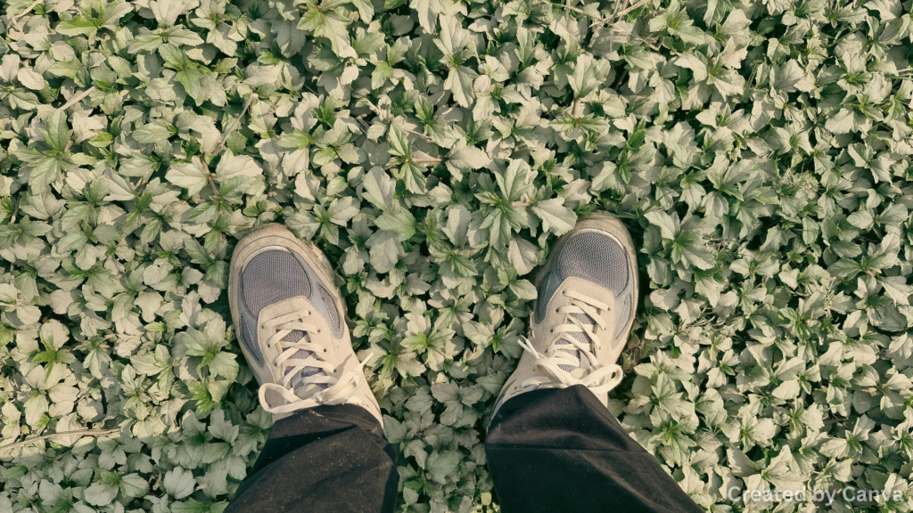 What Does Stand Your Ground Nevada Mean